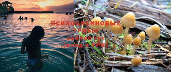 не бодяженный Липки