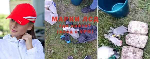 ПСИЛОЦИБИНОВЫЕ ГРИБЫ Лихославль
