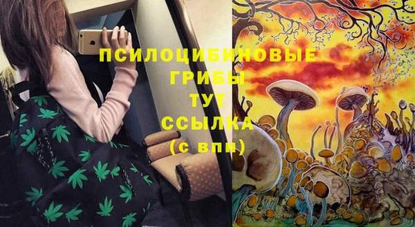 ПСИЛОЦИБИНОВЫЕ ГРИБЫ Лихославль