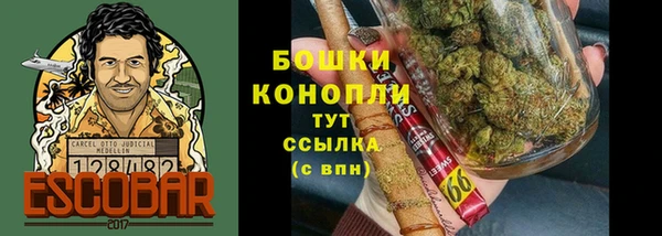 ПСИЛОЦИБИНОВЫЕ ГРИБЫ Лихославль