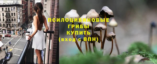 не бодяженный Липки