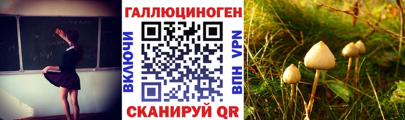 мега ТОР  Северская  Псилоцибиновые грибы MAGIC MUSHROOMS  наркота 