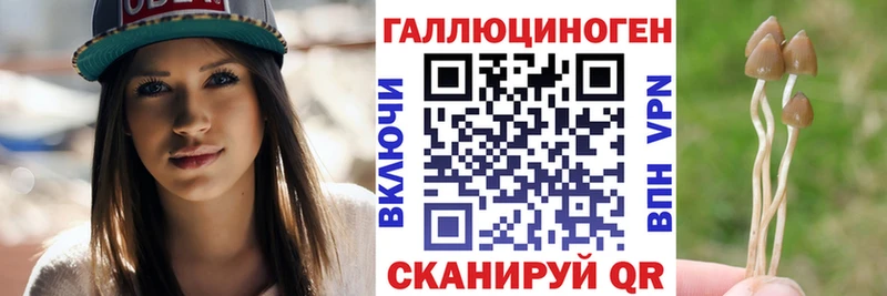 Псилоцибиновые грибы мицелий Северская