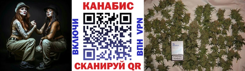 Конопля White Widow  мега   Северская 